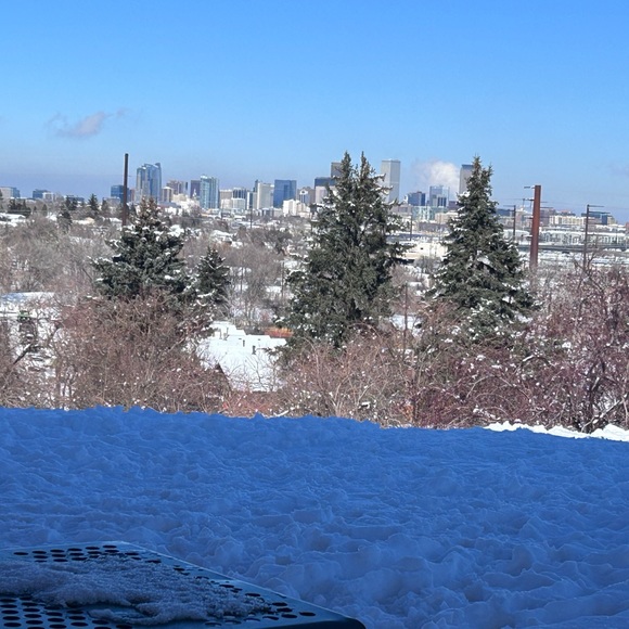 Meet your Posher, Cricket - Picture 8 of 13